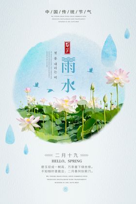 雨水海报