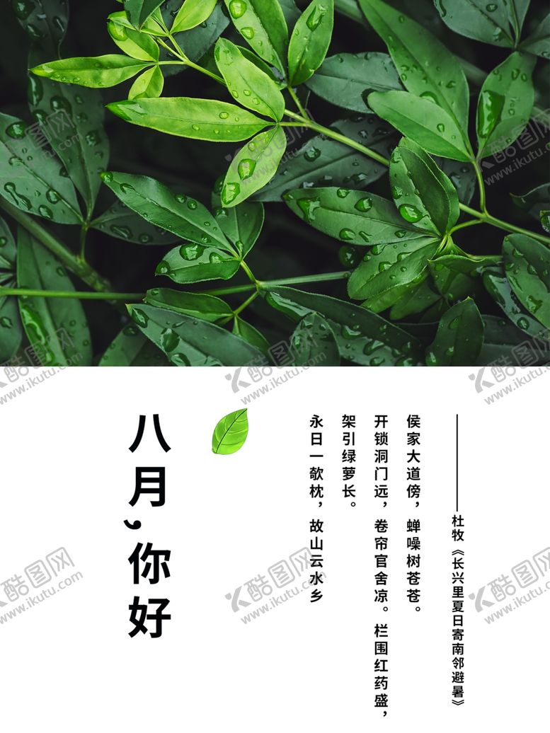 编号：41234610170928098034【酷图网】源文件下载-八月