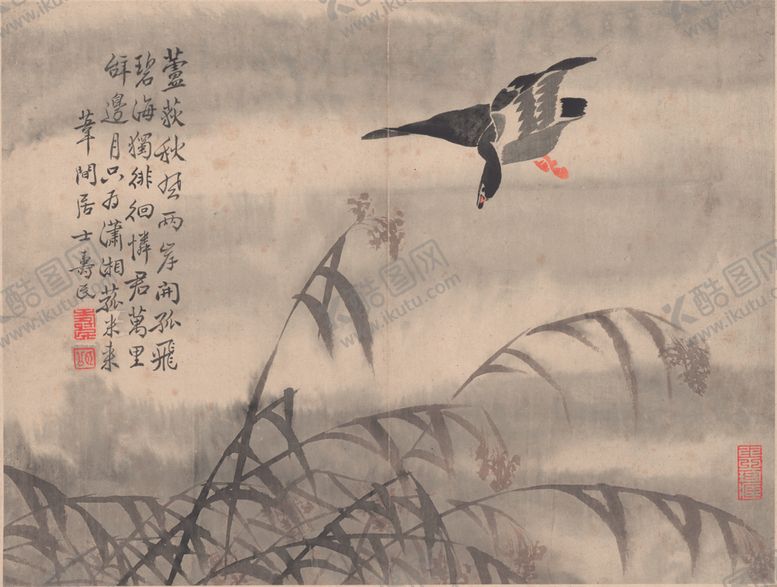 编号：61074609221944366746【酷图网】源文件下载-芦雁图