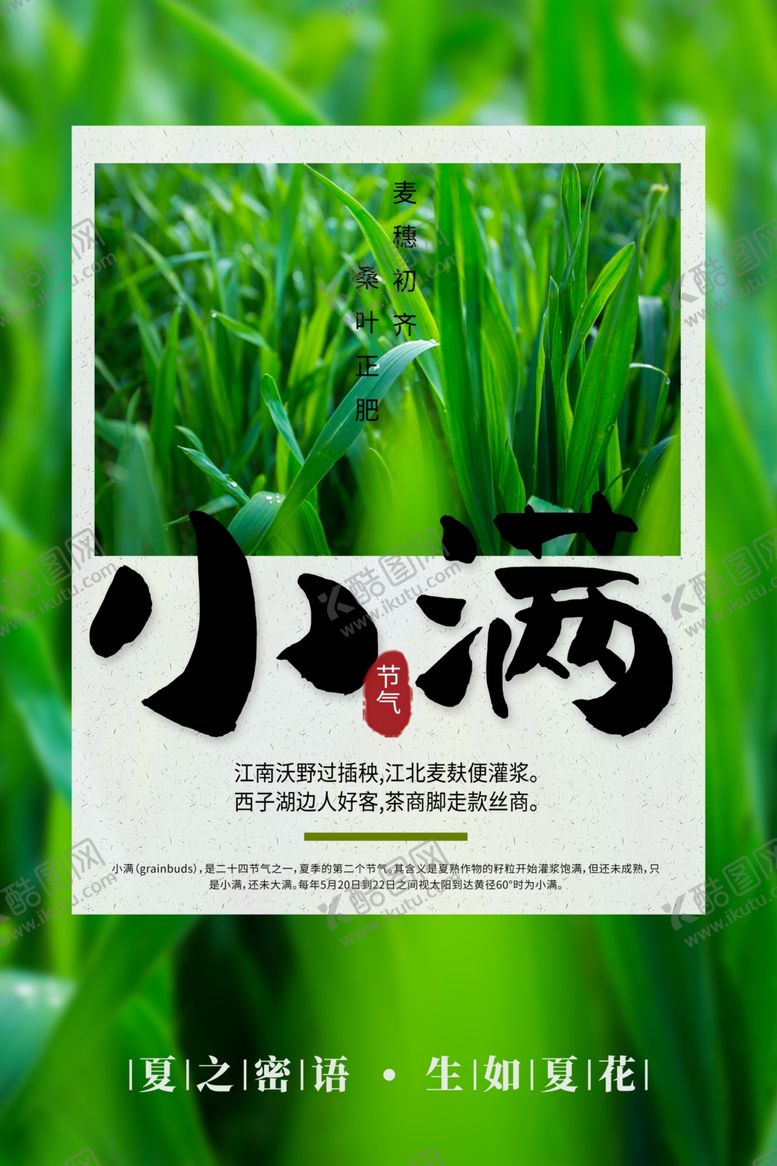 编号：57096810272101534394【酷图网】源文件下载-小满节气海报