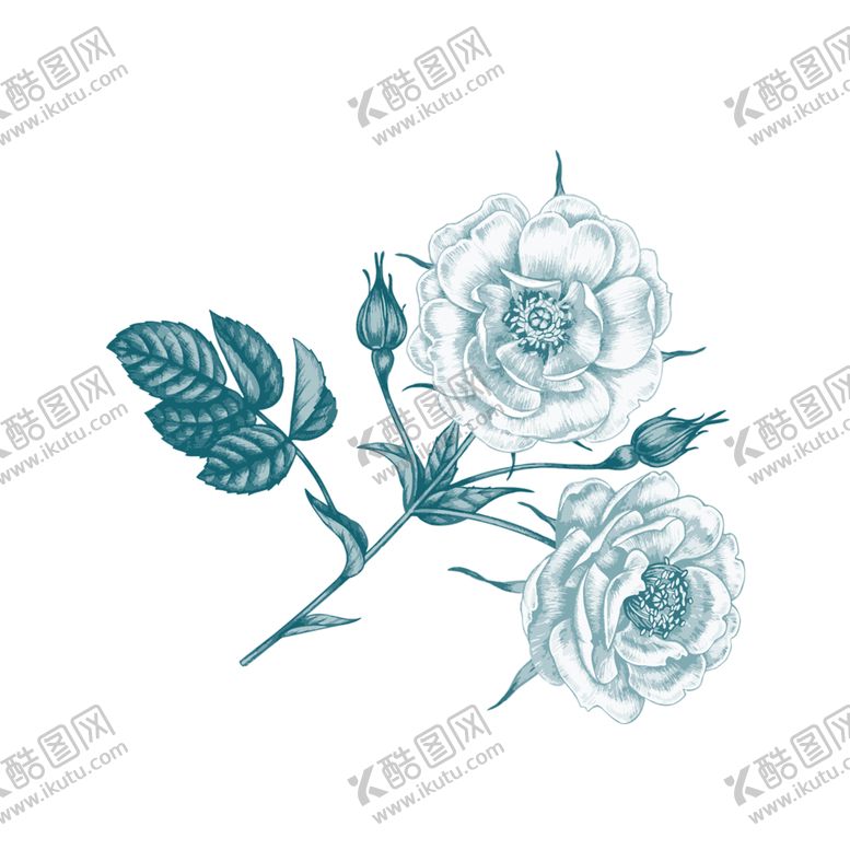 编号：42006406290217517773【酷图网】源文件下载-鲜花素材