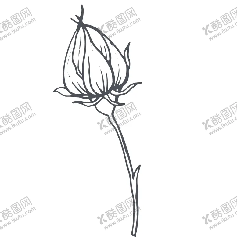 编号：52075806280824329358【酷图网】源文件下载-手绘植物
