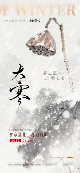 大寒海报