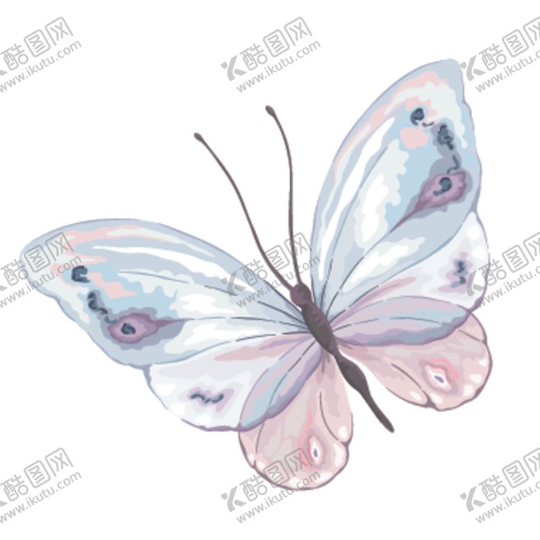 编号：21942905022051383751【酷图网】源文件下载-水彩蝴蝶绘画图案