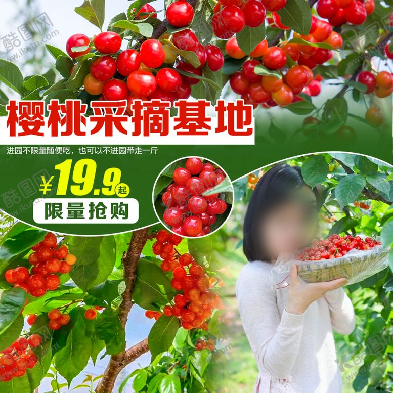 编号：15948609211332495461【酷图网】源文件下载-樱桃采摘