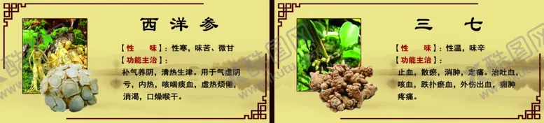 编号：35322104231552177993【酷图网】源文件下载-中药材