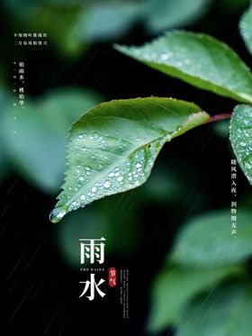 雨水节海报展板素材时绿色