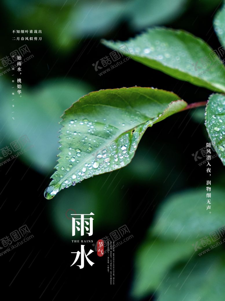 编号：48501601232205081934【酷图网】源文件下载-雨水节海报展板素材