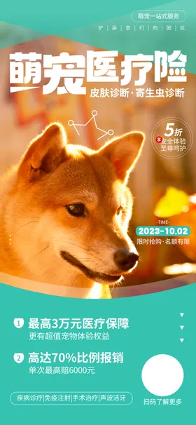 宠物海报