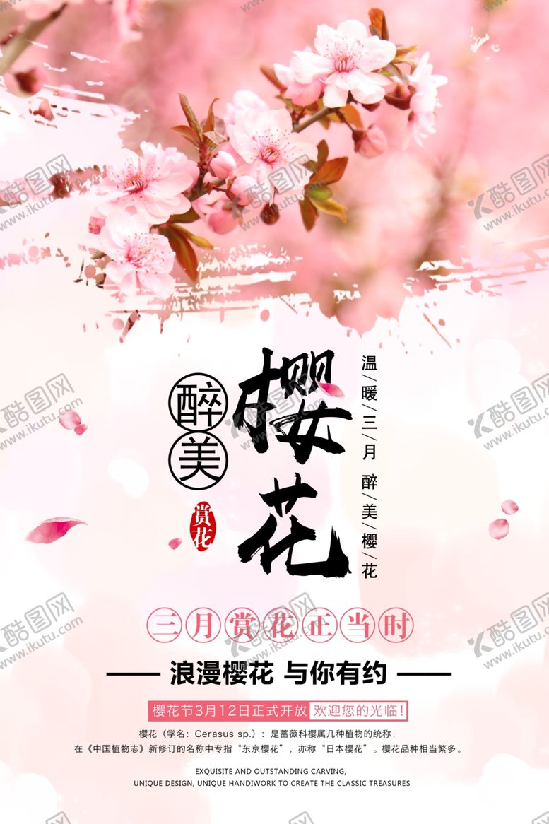编号：81128707050413502724【酷图网】源文件下载-樱花