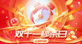双十一秒杀日