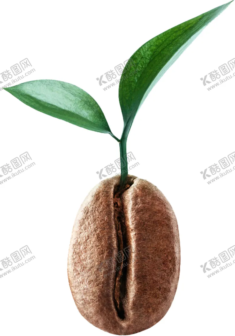 编号：40709205060913404395【酷图网】源文件下载-咖啡豆