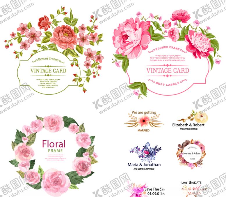 编号：16704209092352384291【酷图网】源文件下载-各种花卉组合