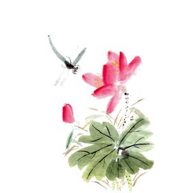 荷花素材清廉夏天叶插画夏日