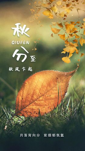 秋分海报季节传统节气二十四节气