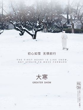 白色大寒雪景海报