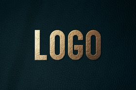 LOGO样机VI品牌企业