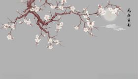 花好月圆梅花背景墙