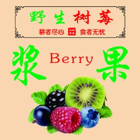 树莓覆盆子