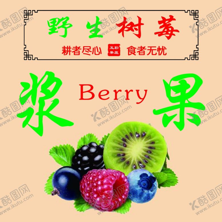 编号：89423506250916189015【酷图网】源文件下载-树莓覆盆子