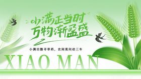 小满时节乡村新景象