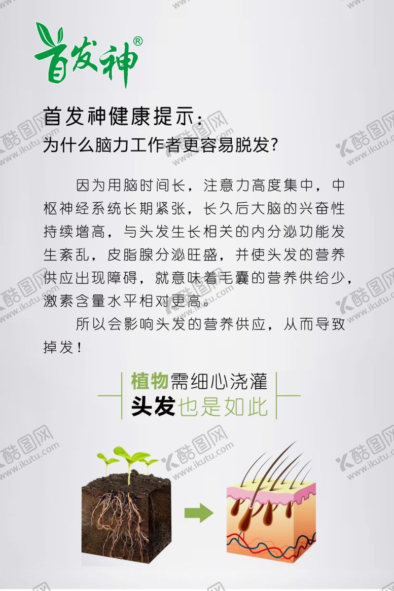 编号：17749110102156332186【酷图网】源文件下载-中药养发