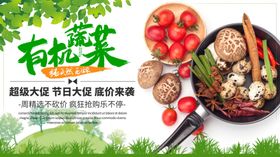 有机蔬菜