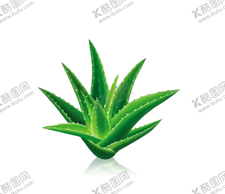 编号：95946209241610263725【酷图网】源文件下载-绿色相框