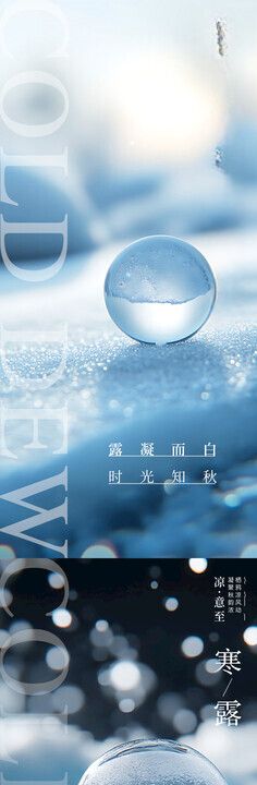 寒露简约节气海报