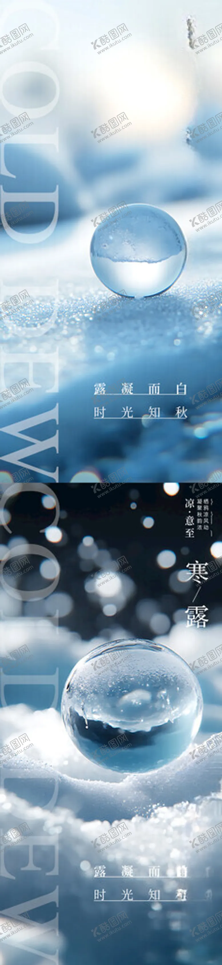编号：13923802231843154366【酷图网】源文件下载-寒露简约节气海报