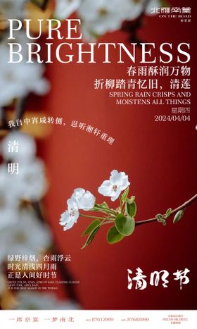 清明节气海报