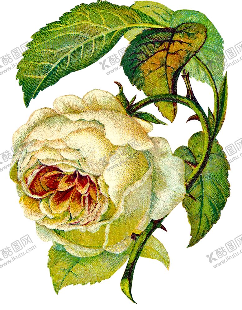 编号：40925609282223024655【酷图网】源文件下载-鲜花素材