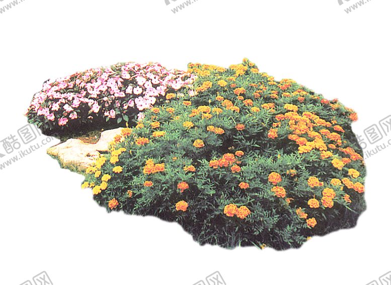 编号：73257707022312438226【酷图网】源文件下载-绿色植物