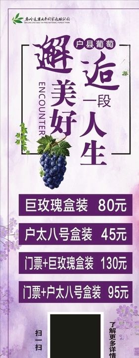 户太葡萄展架