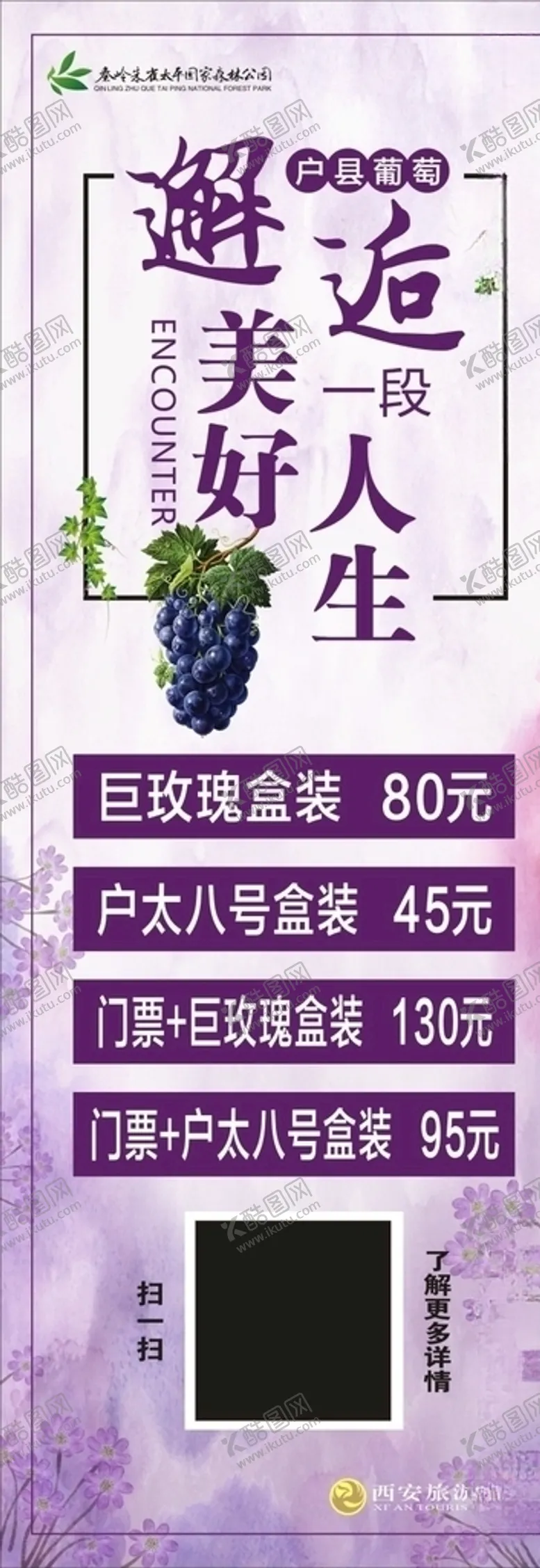 编号：53634806231817118618【酷图网】源文件下载-户太葡萄展架