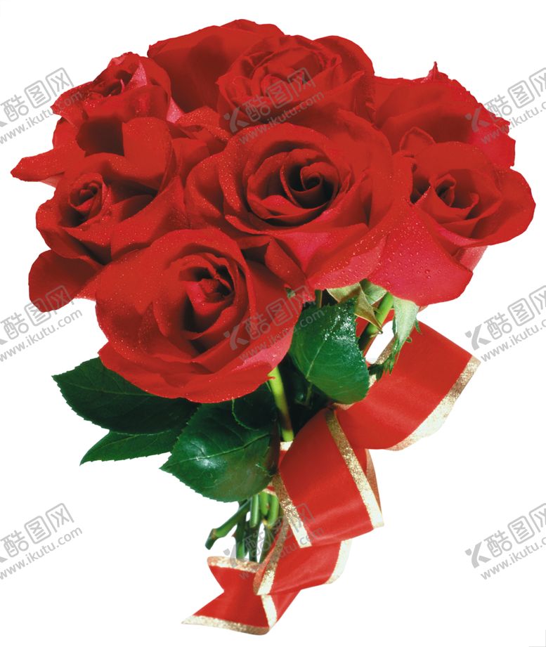 编号：53085109210819043558【酷图网】源文件下载-玫瑰花