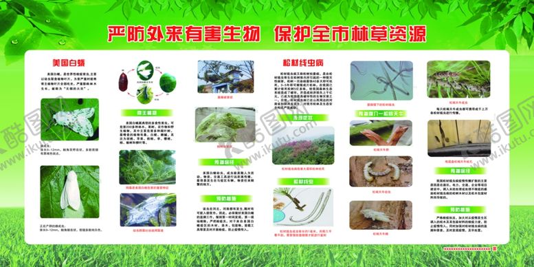 编号：52873602150746188794【酷图网】源文件下载-严防外来有害生物