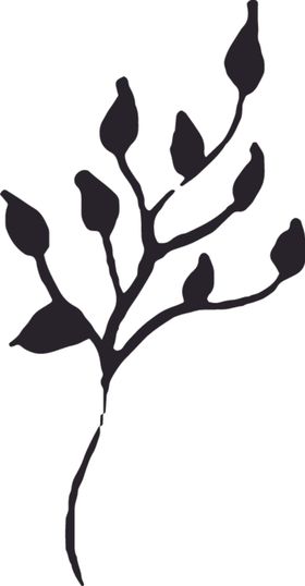 黑白涂鸦画