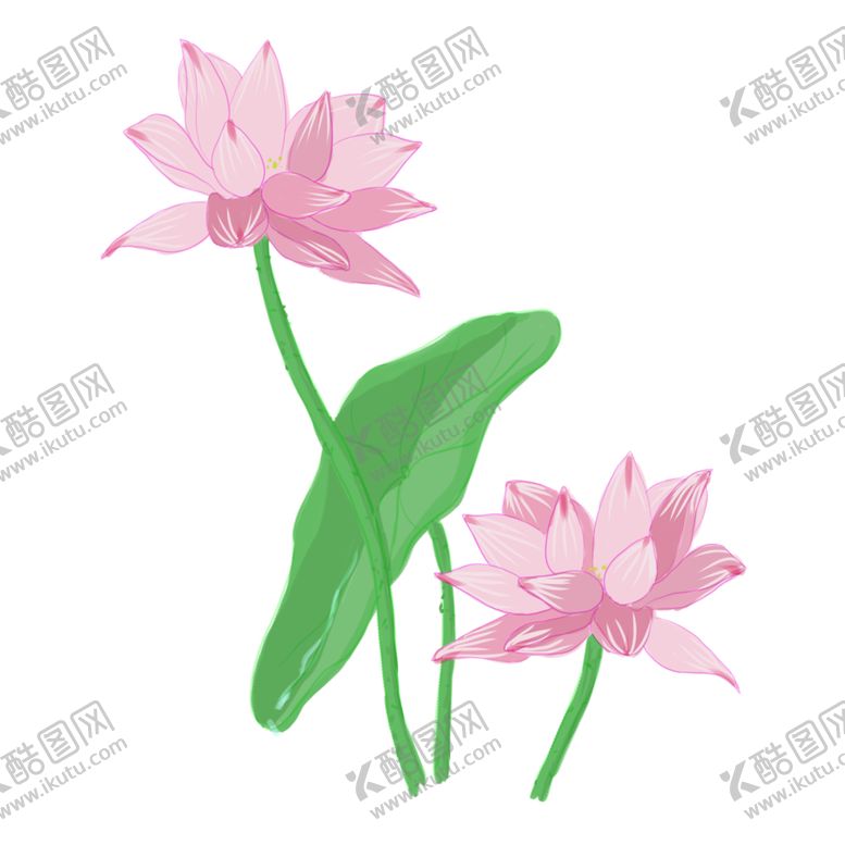 编号：75921005070257375402【酷图网】源文件下载-荷花元素