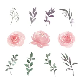 手绘花卉