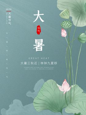 二十四节气大暑海报插画