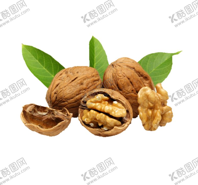 编号：86031909200343197986【酷图网】源文件下载-核桃