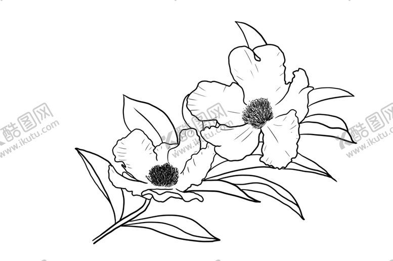 编号：45049109291346077757【酷图网】源文件下载-茶花