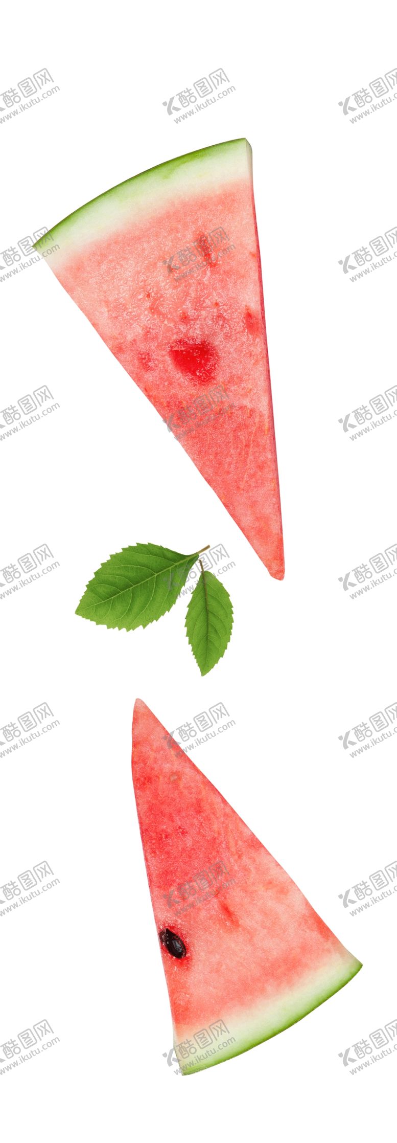 编号：78723904071439424284【酷图网】源文件下载-西瓜