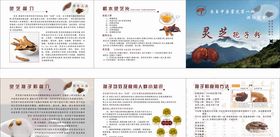 灵芝孢子粉三折页