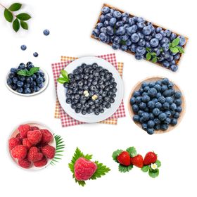 草莓字体莓 