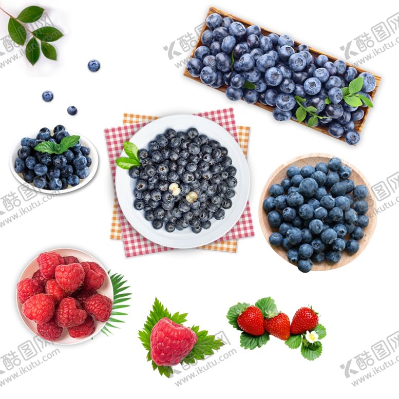 编号：89031309151431052592【酷图网】源文件下载-蓝莓草莓蔓越莓