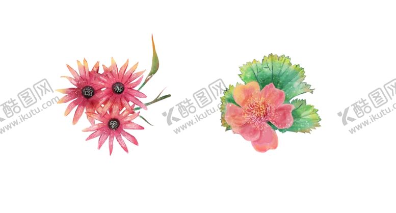 编号：86839312061328571058【酷图网】源文件下载-水彩花卉