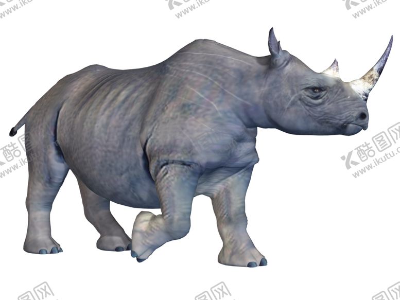 编号：67938507021734383943【酷图网】源文件下载-犀牛