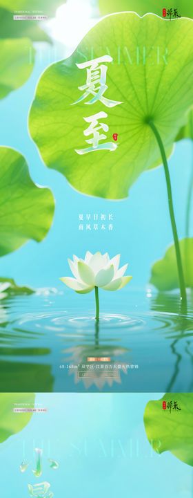 地产夏至入伏小暑清新荷花海报